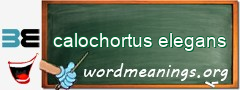 WordMeaning blackboard for calochortus elegans